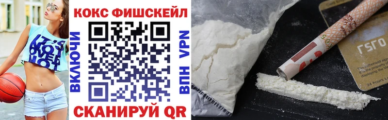 COCAIN Fish Scale  ссылка на мегу сайт  Чулым 