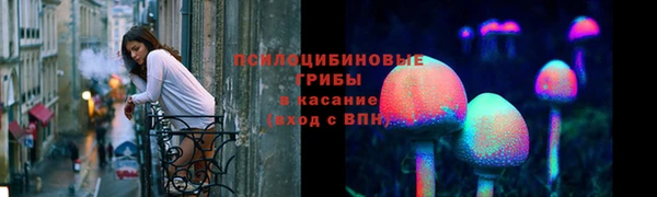 Альфа ПВП Лиски